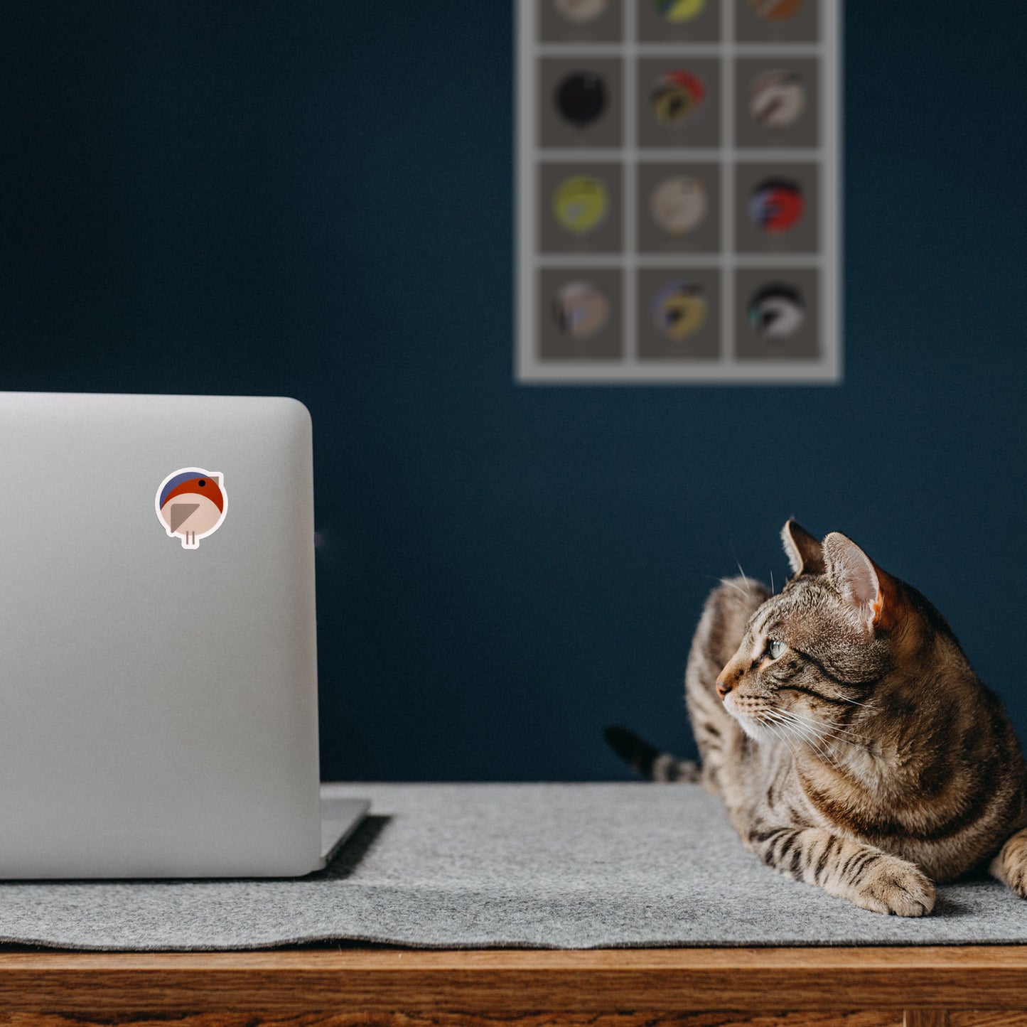 Mockup_Laptop-Cat.jpg
