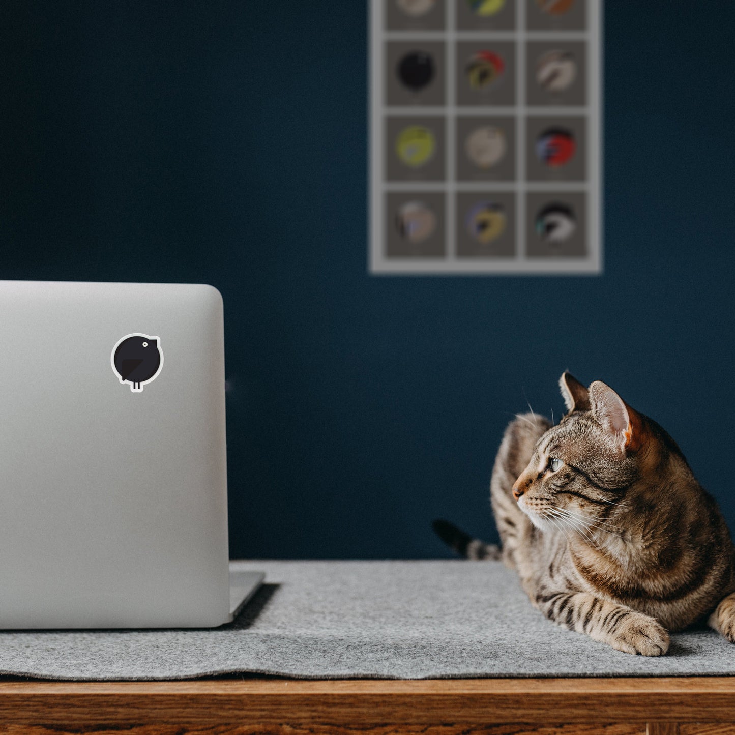 Mockup_Laptop-Cat.jpg