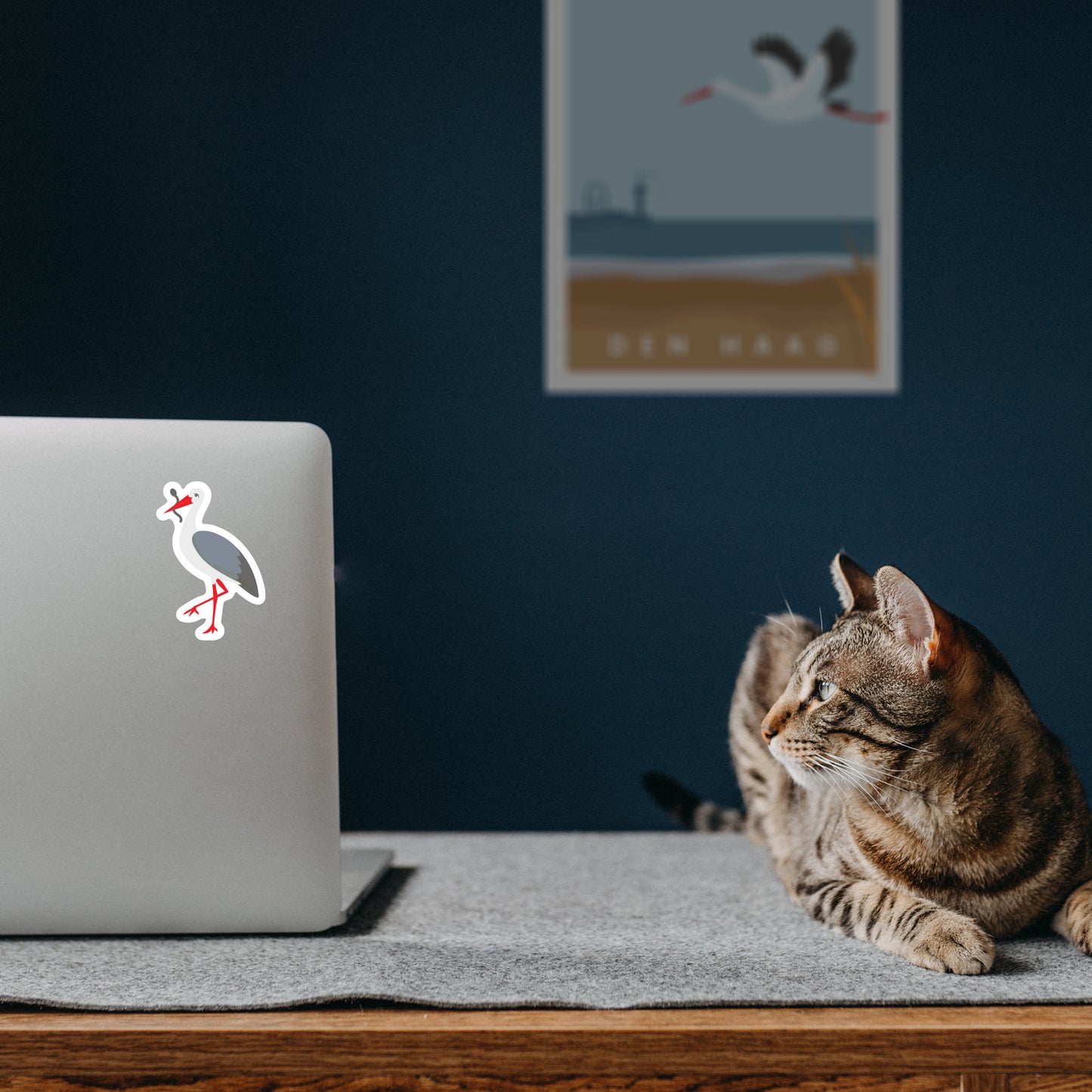 Mockup_Laptop-Cat.jpg