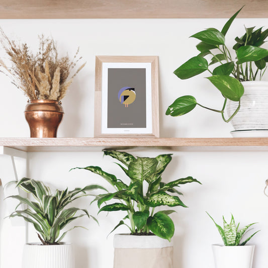 Mini Artprint Nuthatch