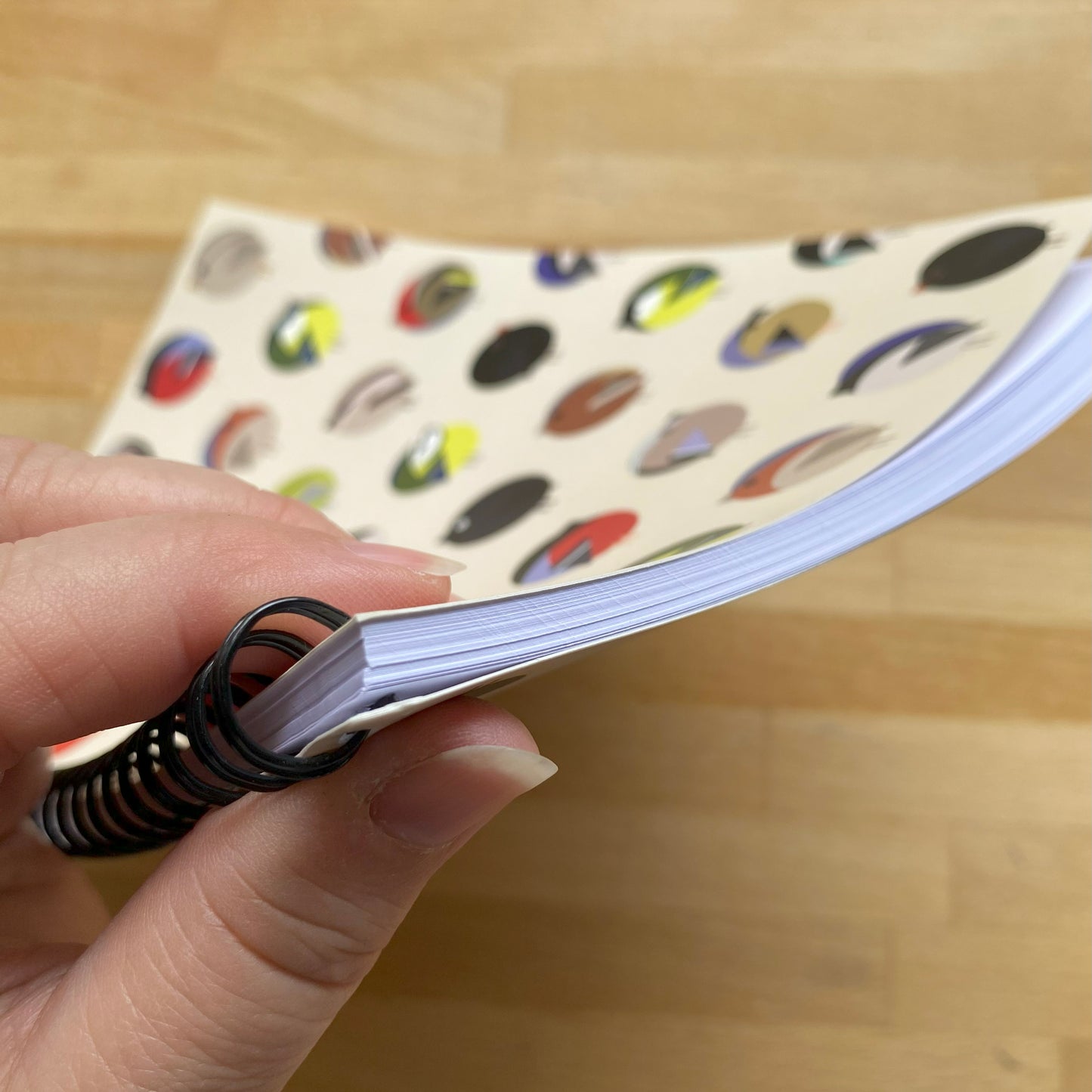 Garden Birds Notebook
