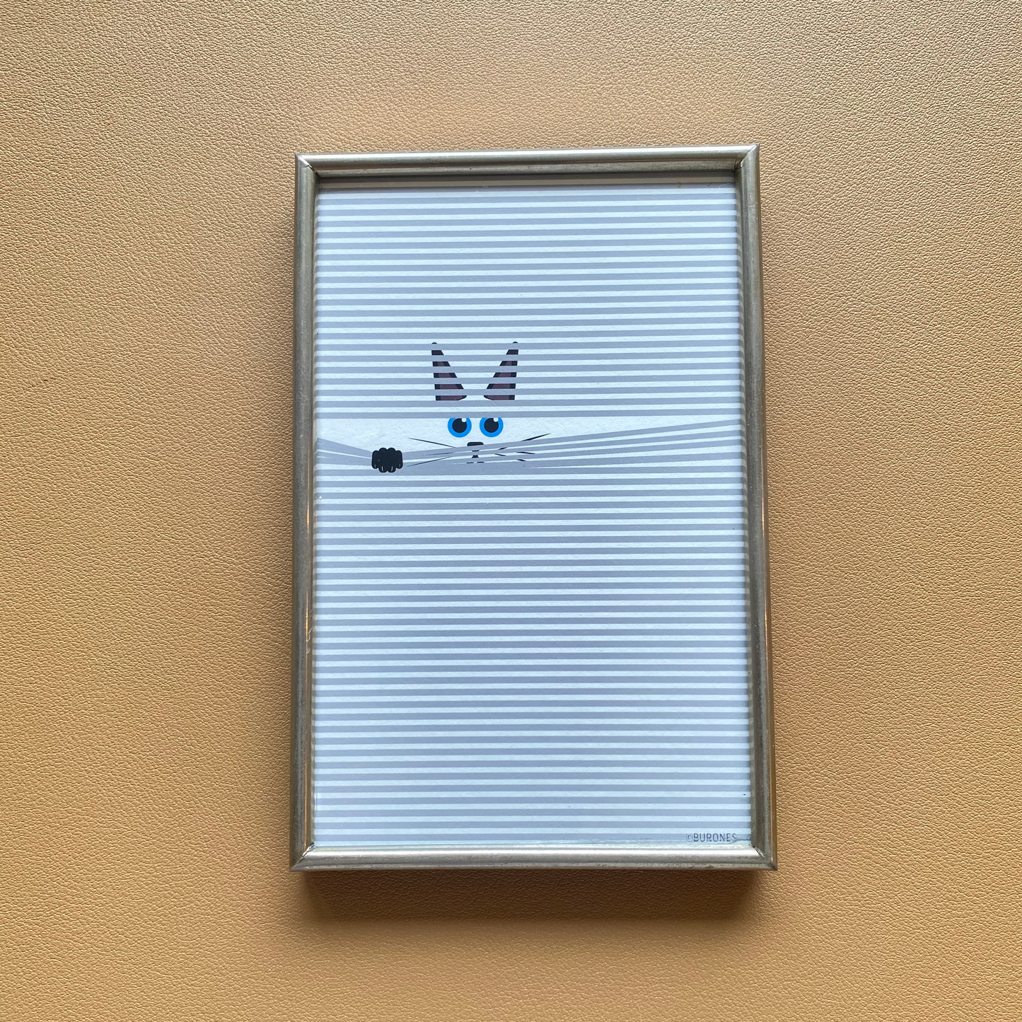 Luxaflex kat in vintage lijstje