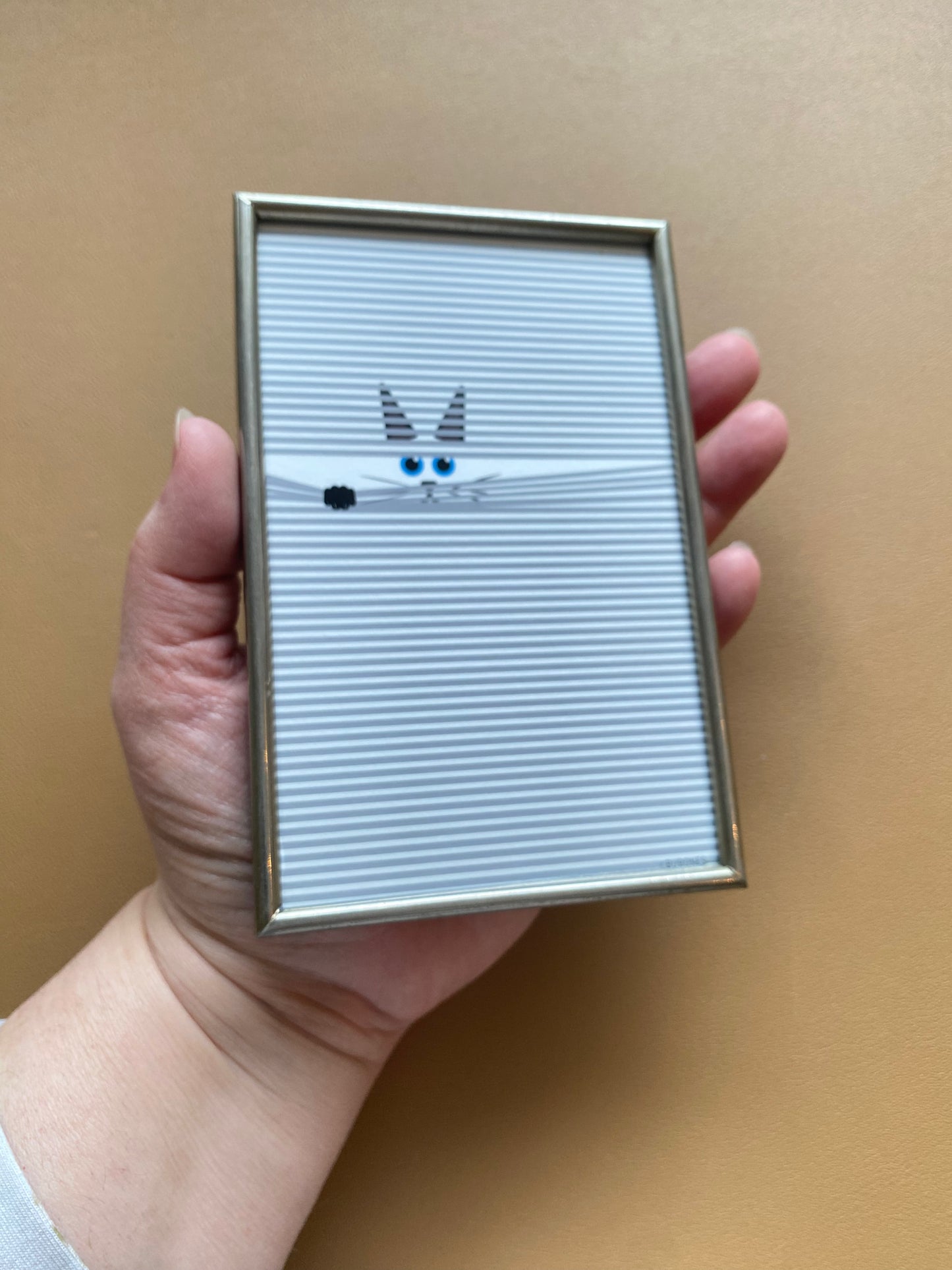 Luxaflex kat in vintage lijstje