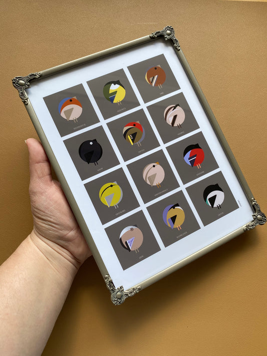 Nederlandse tuinvogels in vintage lijst