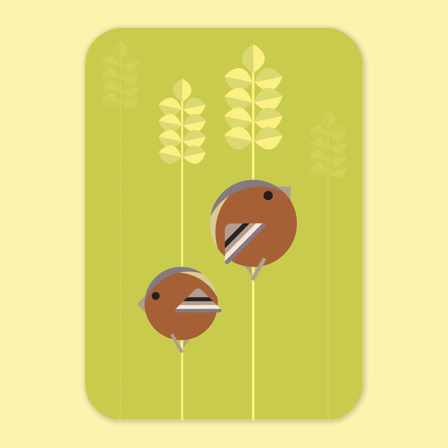 BN-Finches.jpg