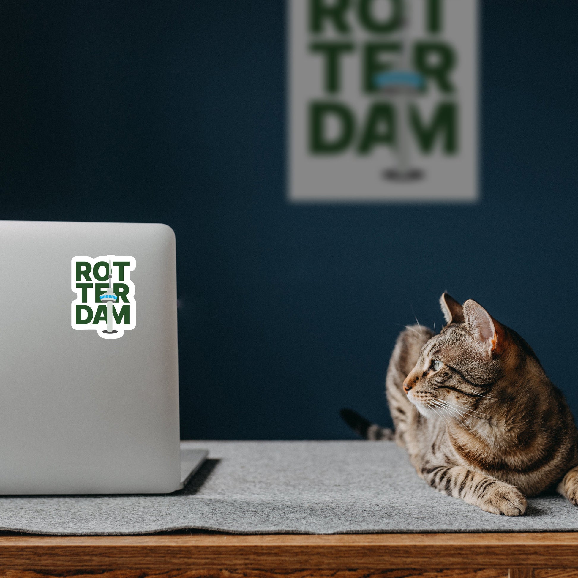 Mockup_Laptop-Cat.jpg