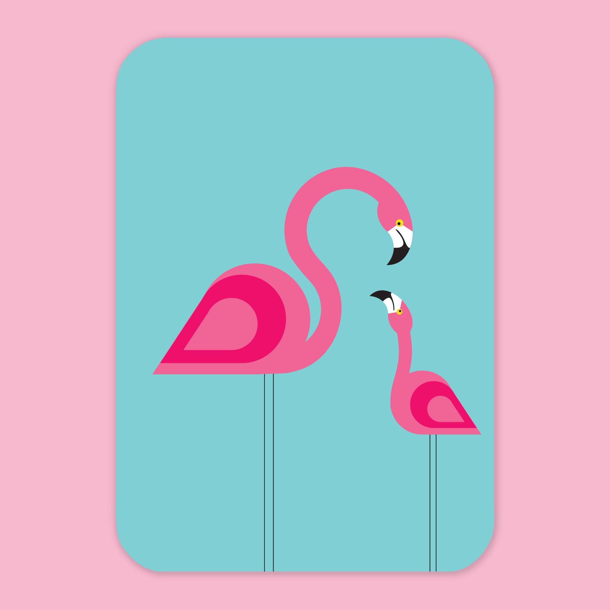 BN-Flamingo.jpg